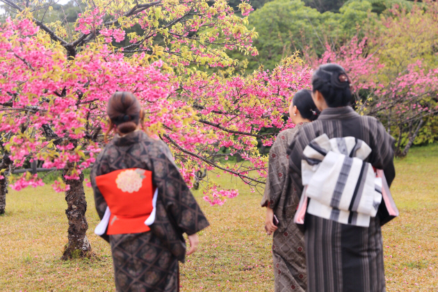 大島紬アンバサダー・プロジェクトでコーディネートや大島紬の楽しみ方を知る。